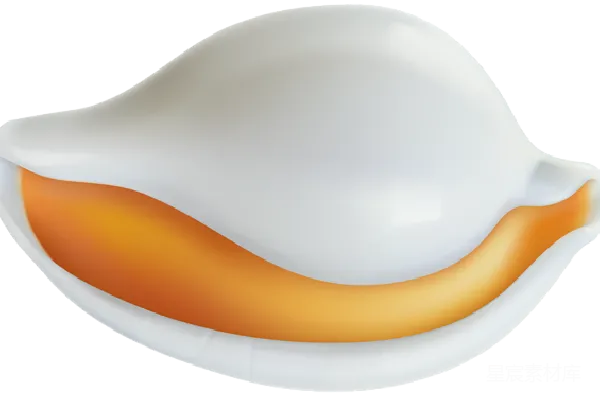 元素素材 贝壳