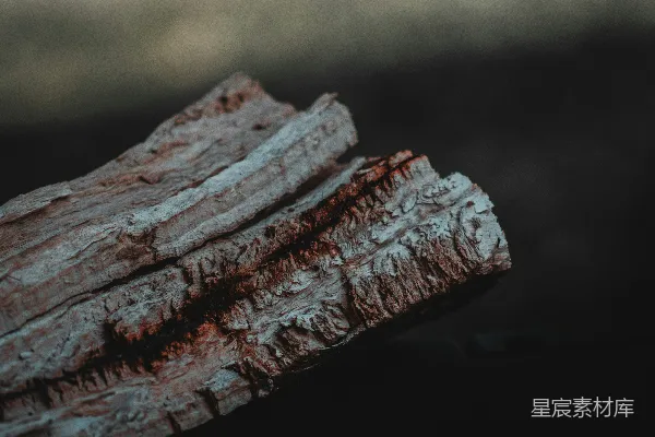 高清摄影 岁月的痕迹：风化木头特写