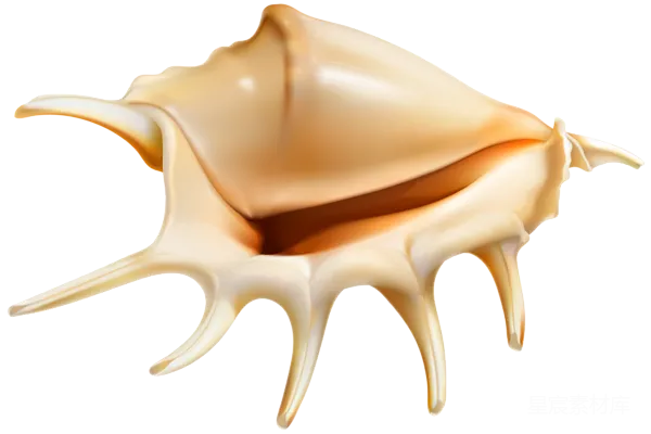元素素材 贝壳