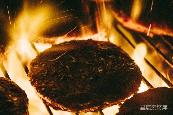 高清摄影 篝火上的烤肉