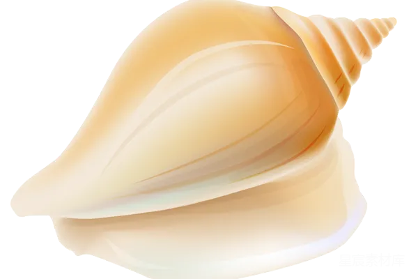 元素素材 贝壳