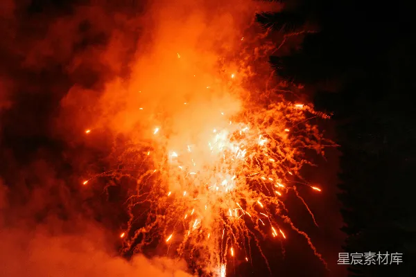高清摄影 夜空中的烟花绽放