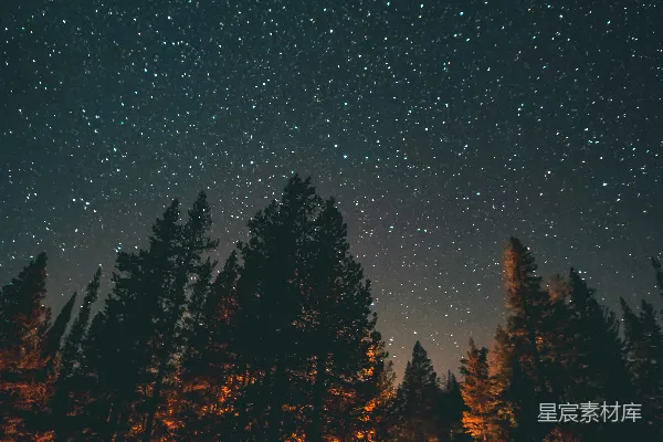 高清摄影 森林中的篝火与星空