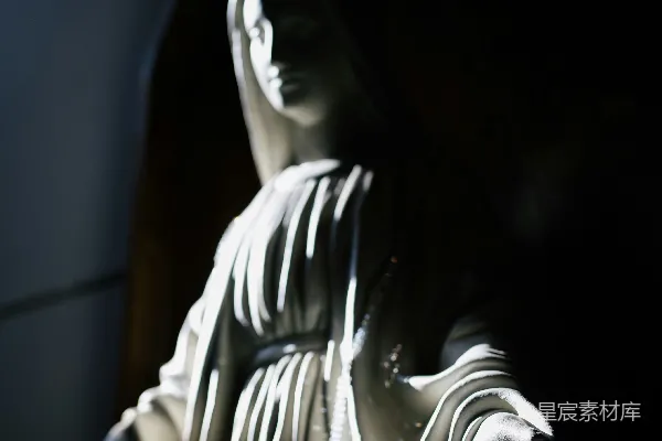 高清摄影 光明中的女王