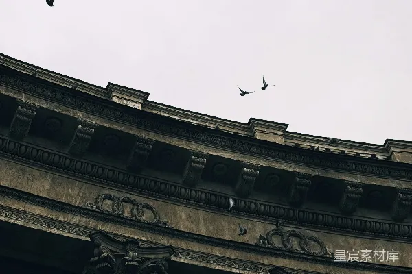 高清摄影 古建筑与飞鸟