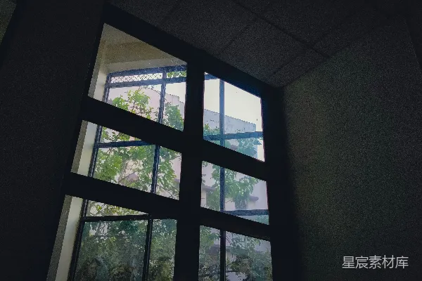 高清摄影 窗外的绿意