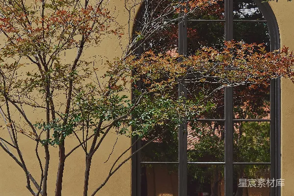高清摄影 秋日树影下的古建筑