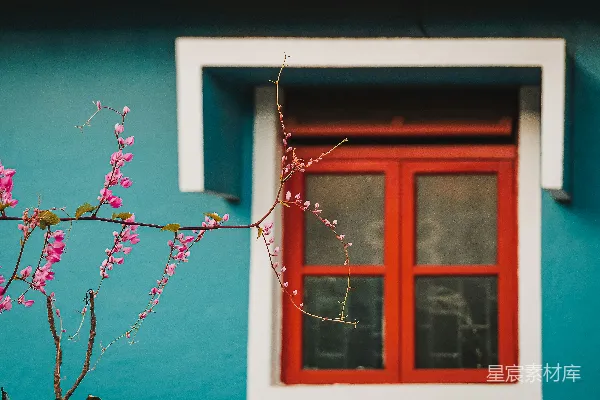 高清摄影 窗外的粉红花与红窗