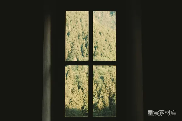 高清摄影 窗格映绿
