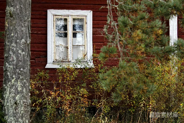 高清摄影 被植物环绕的红木屋