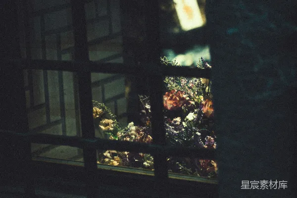 高清摄影 夜幕下的花店橱窗