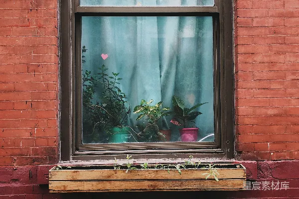 高清摄影 红砖墙上的窗户与植物