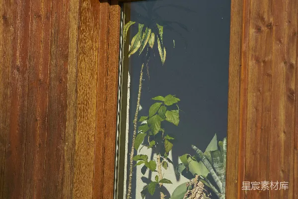 高清摄影 木质窗户与室内植物
