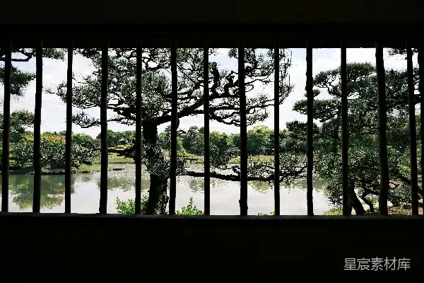高清摄影 透过窗棂的松树与湖景
