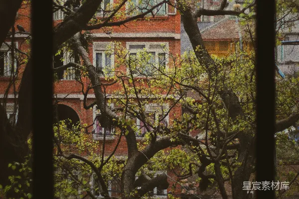 高清摄影 透过窗户的秋景