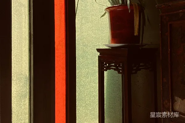 高清摄影 阳光下的窗边植物