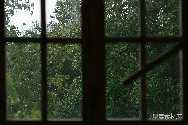 高清摄影 透过窗户看雨中的绿树