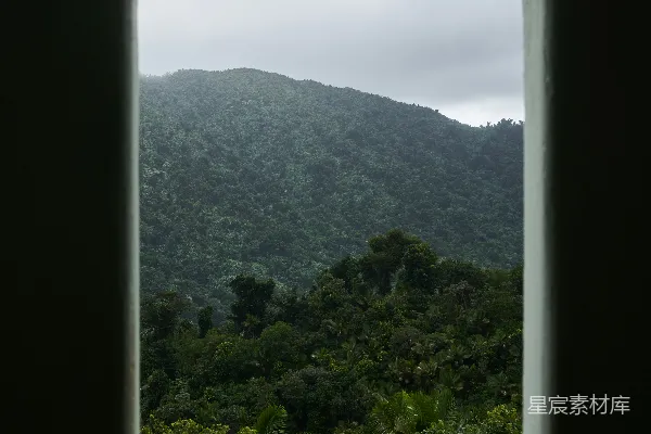 高清摄影 窗外的山林