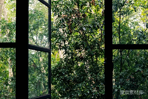 高清摄影 窗外的自然景色