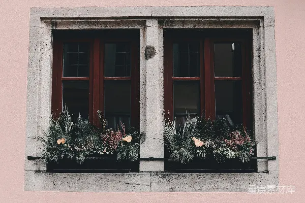 高清摄影 粉墙上的冬日花窗
