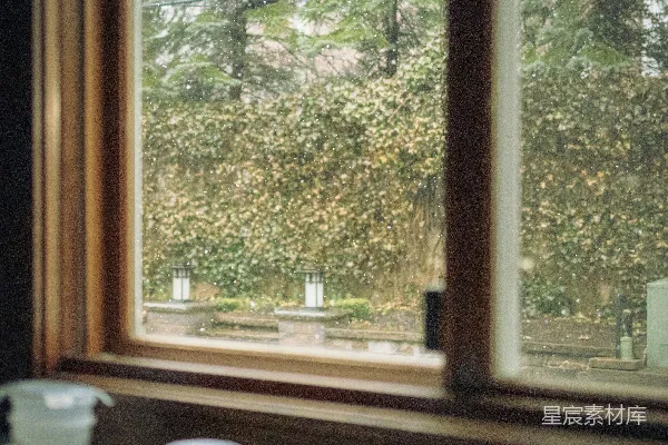 高清摄影 雨中窗外的静谧时光