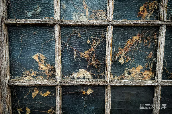 高清摄影 破旧窗户与干枯藤蔓