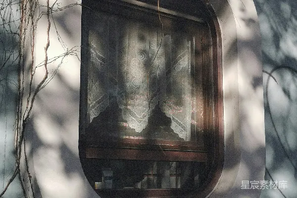高清摄影 藤蔓环绕的复古窗户