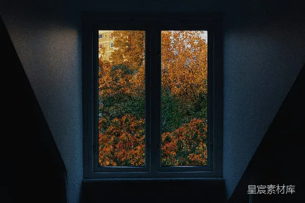 高清摄影 秋日窗景