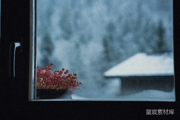 高清摄影 窗外的雪景与窗台上的花