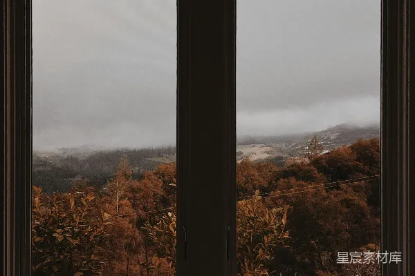 高清摄影 窗外的秋景