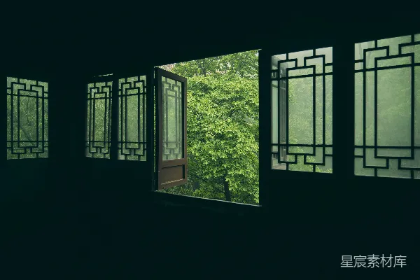 高清摄影 窗外的绿意