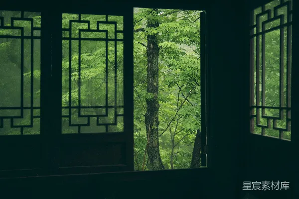 高清摄影 窗影中的自然绿意