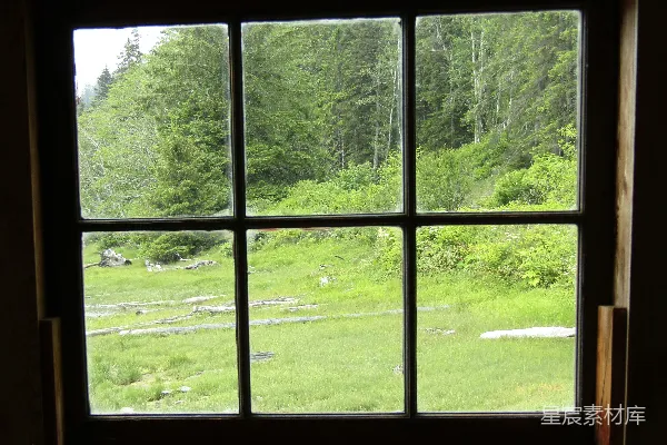 高清摄影 窗外的森林与草地