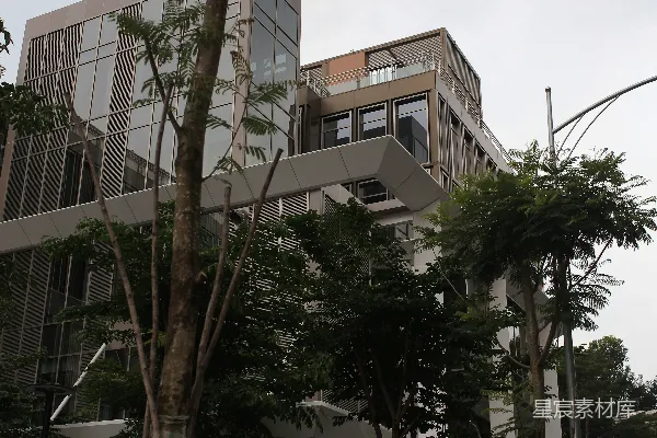 高清摄影 现代建筑与绿树相映