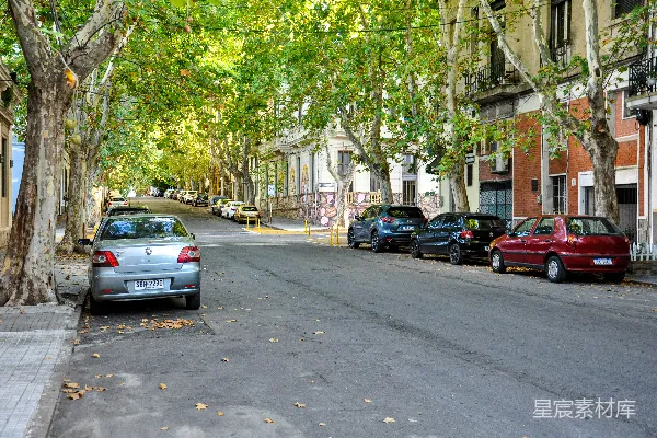 高清摄影 城市街道的宁静秋景