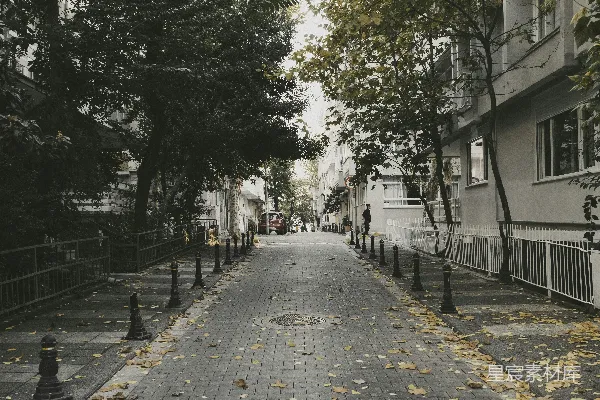 高清摄影 秋日静谧的街道
