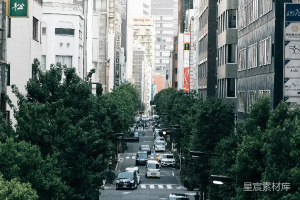 高清摄影 都市中的绿意：繁忙街道上的自然与繁华