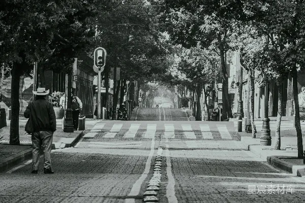 高清摄影 老城树荫下的静谧街道