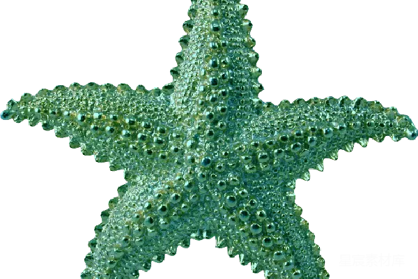 元素素材 海星
