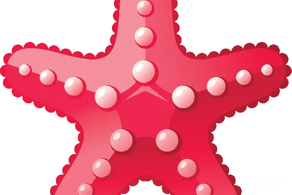 元素素材 海星