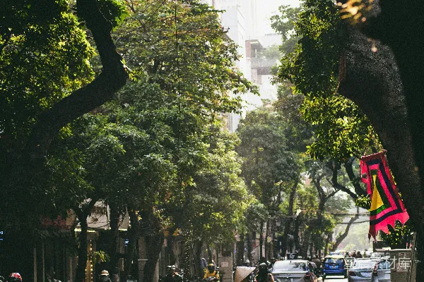 高清摄影 越南街头的早晨