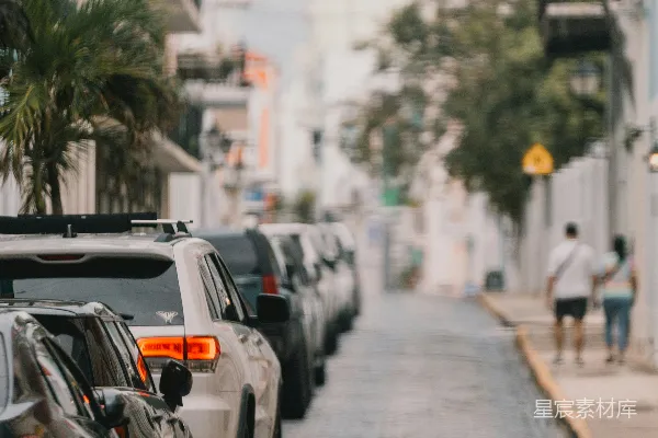 高清摄影 石板路旁的静谧街道