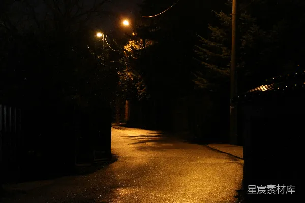 高清摄影 夜色中的路灯与街景