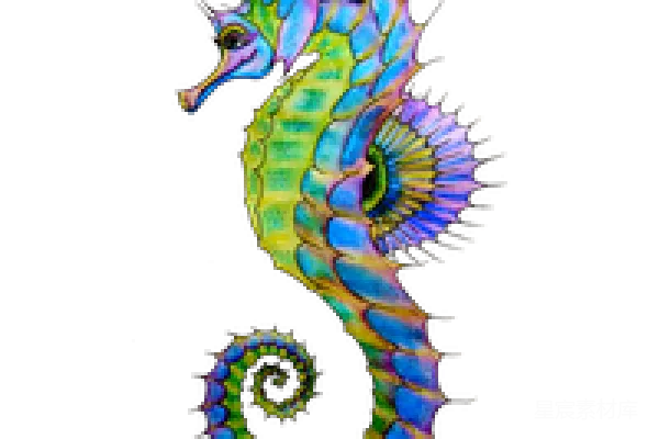 元素素材 Seahorse