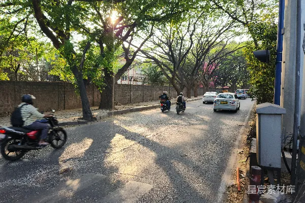 高清摄影 阳光下的树荫街道