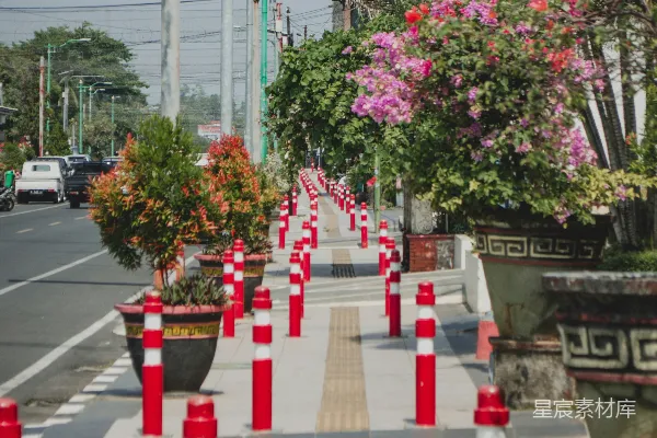 高清摄影 花盆与红白柱子的街道