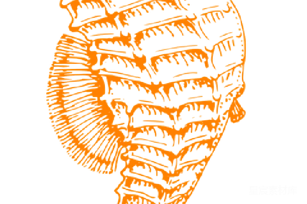 元素素材 Seahorse