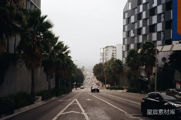 高清摄影 洛杉矶的街道