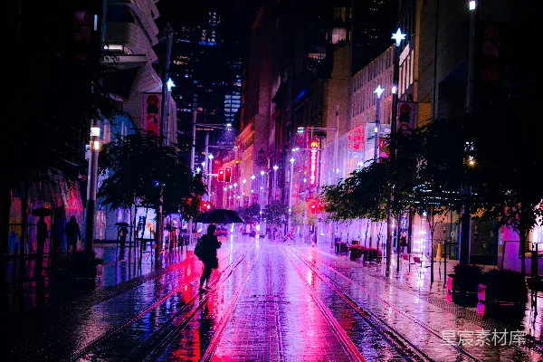 高清摄影 雨夜霓虹下的街头