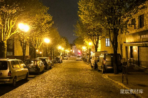 高清摄影 夜幕下的石板路